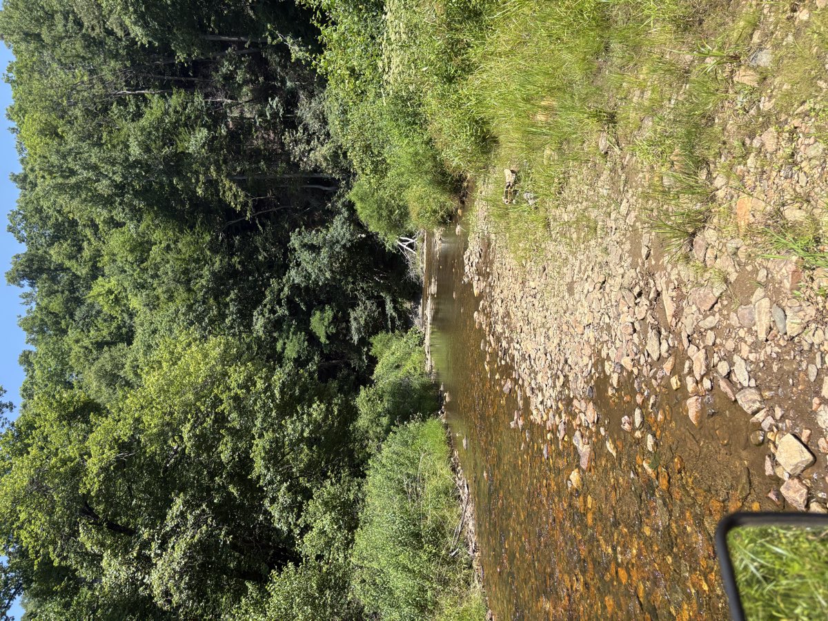 Wade in — head right for the deeper swimming hole